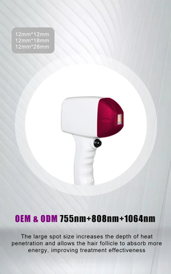 Saha Kurulum Hizmeti ile 808nm/808+755+1064nm Diod Lazer Epilasyon Makinesi